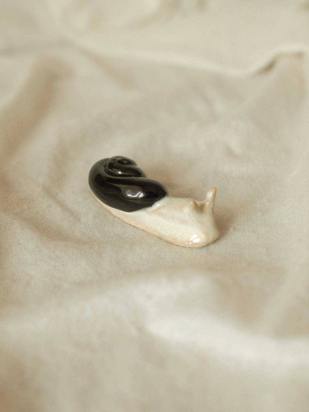 Snail