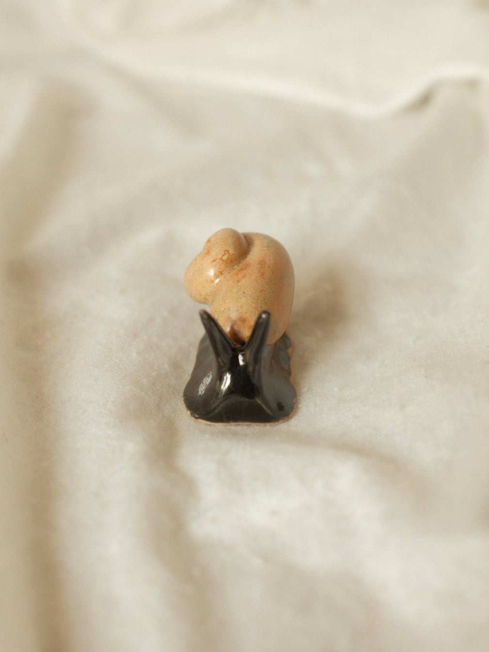 Snail