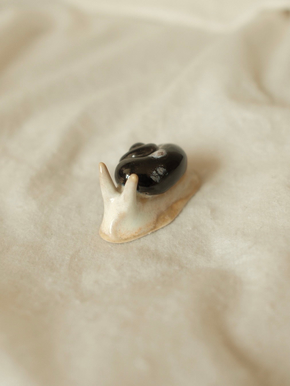 Snail