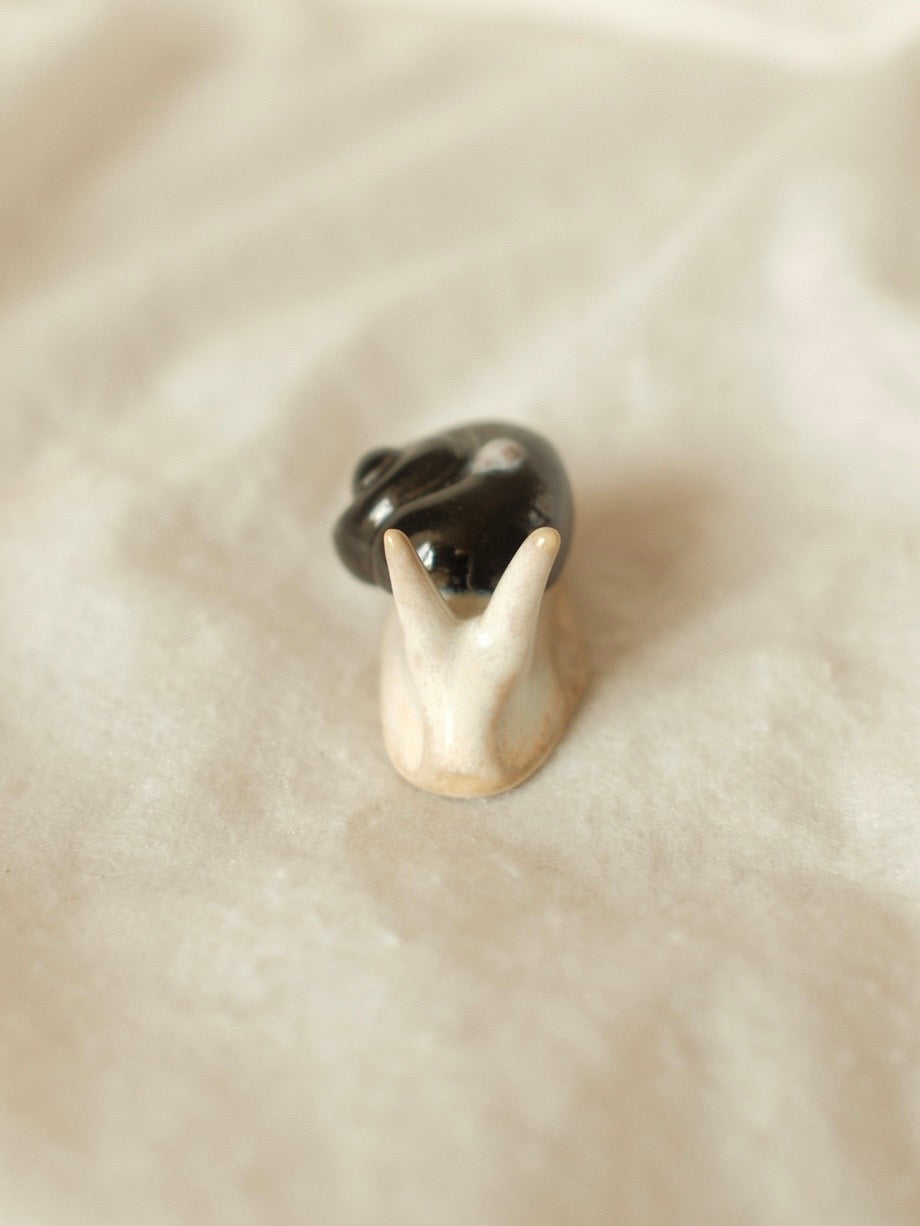 Snail