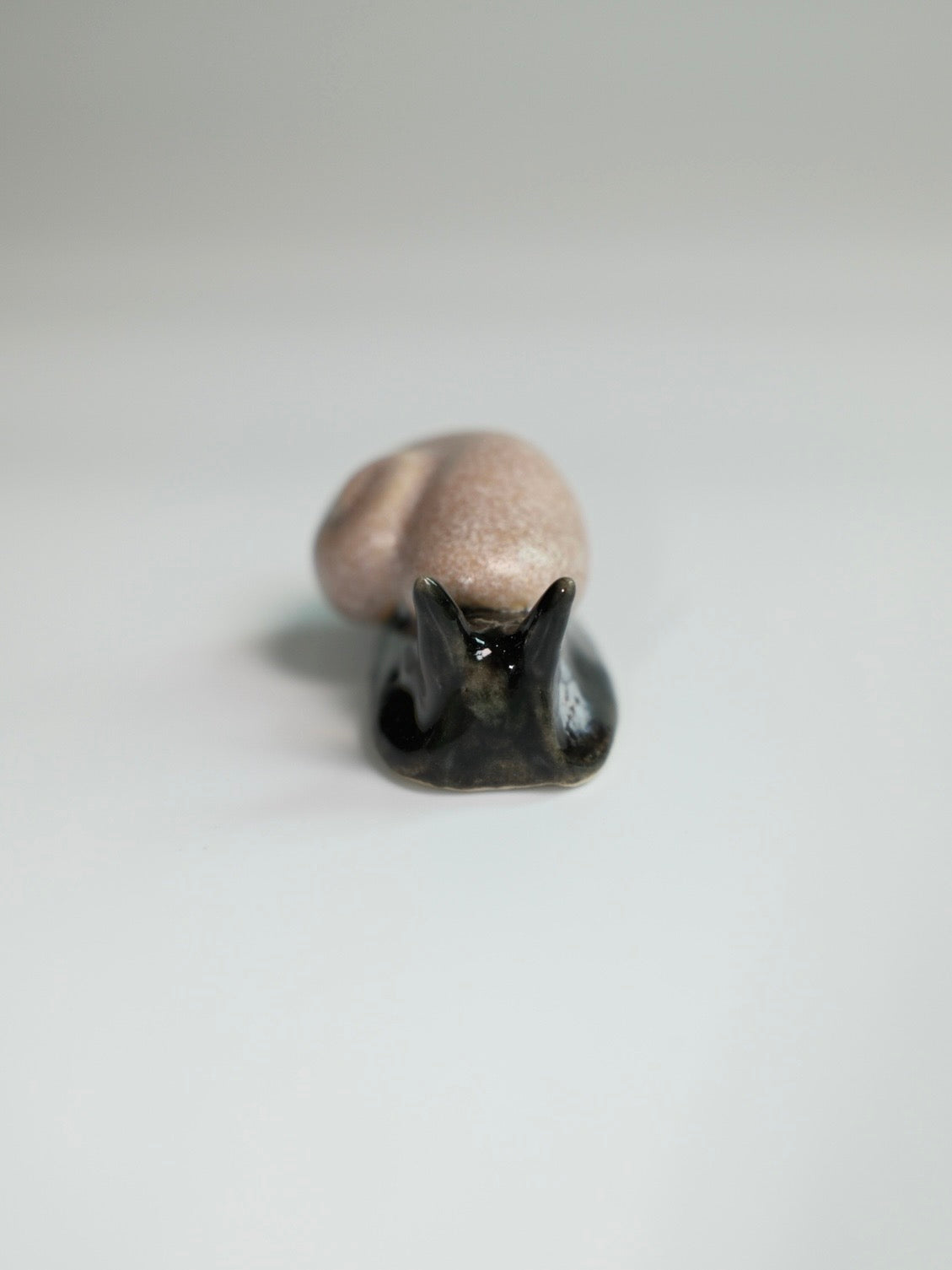 Snail 15