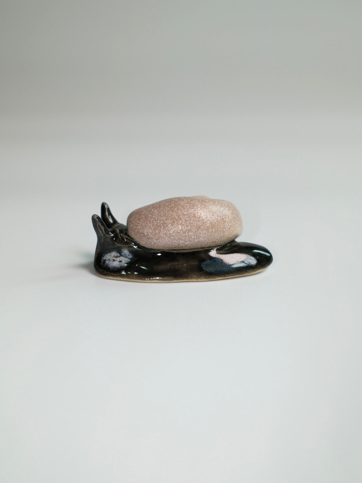Snail 15