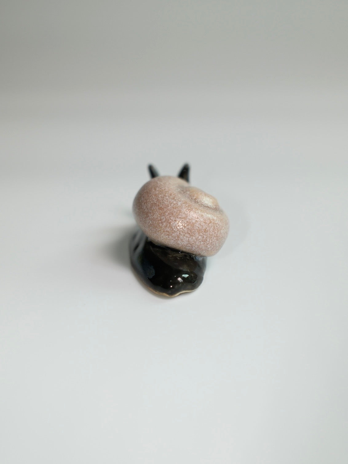 Snail 15