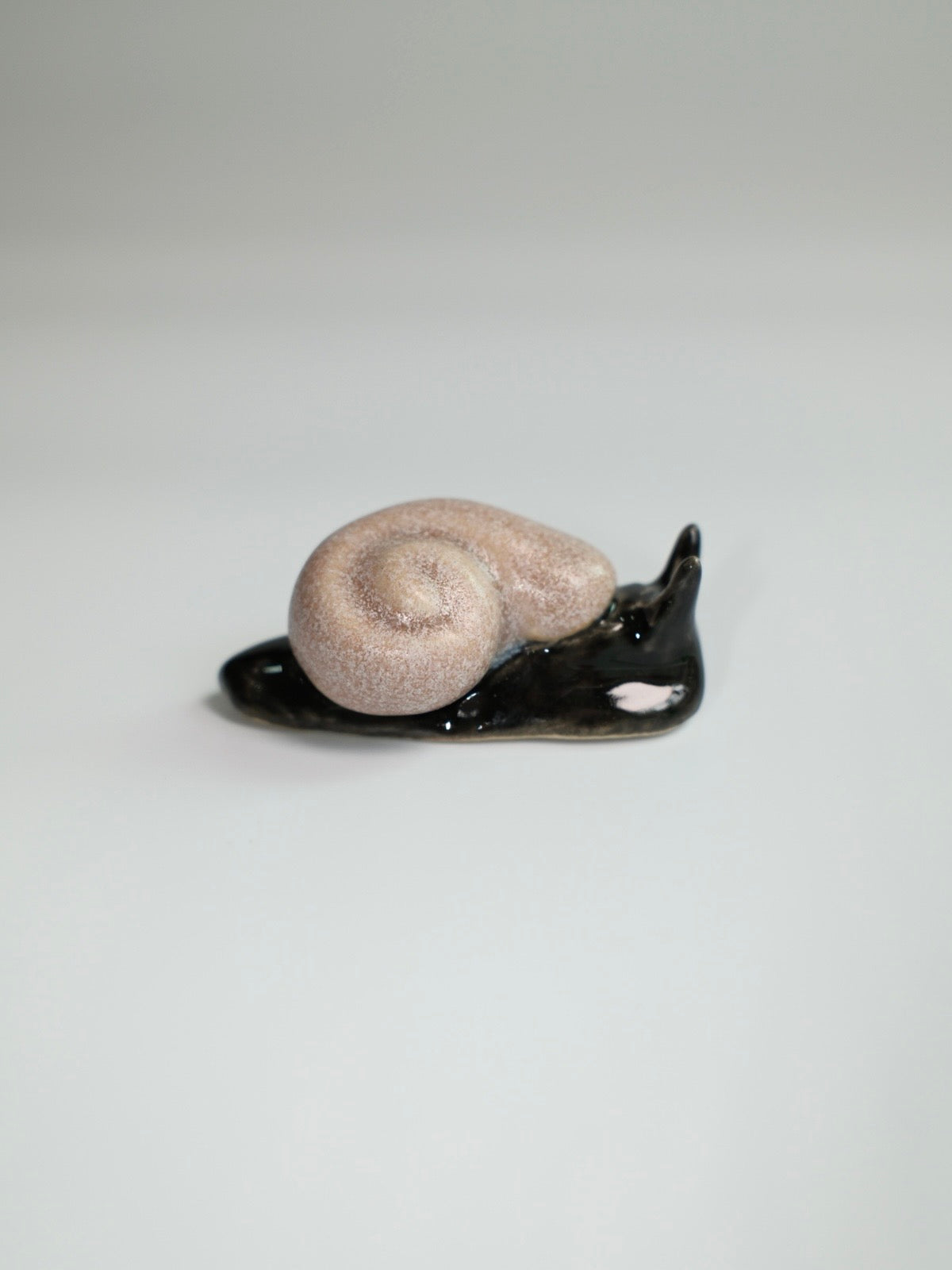 Snail 15