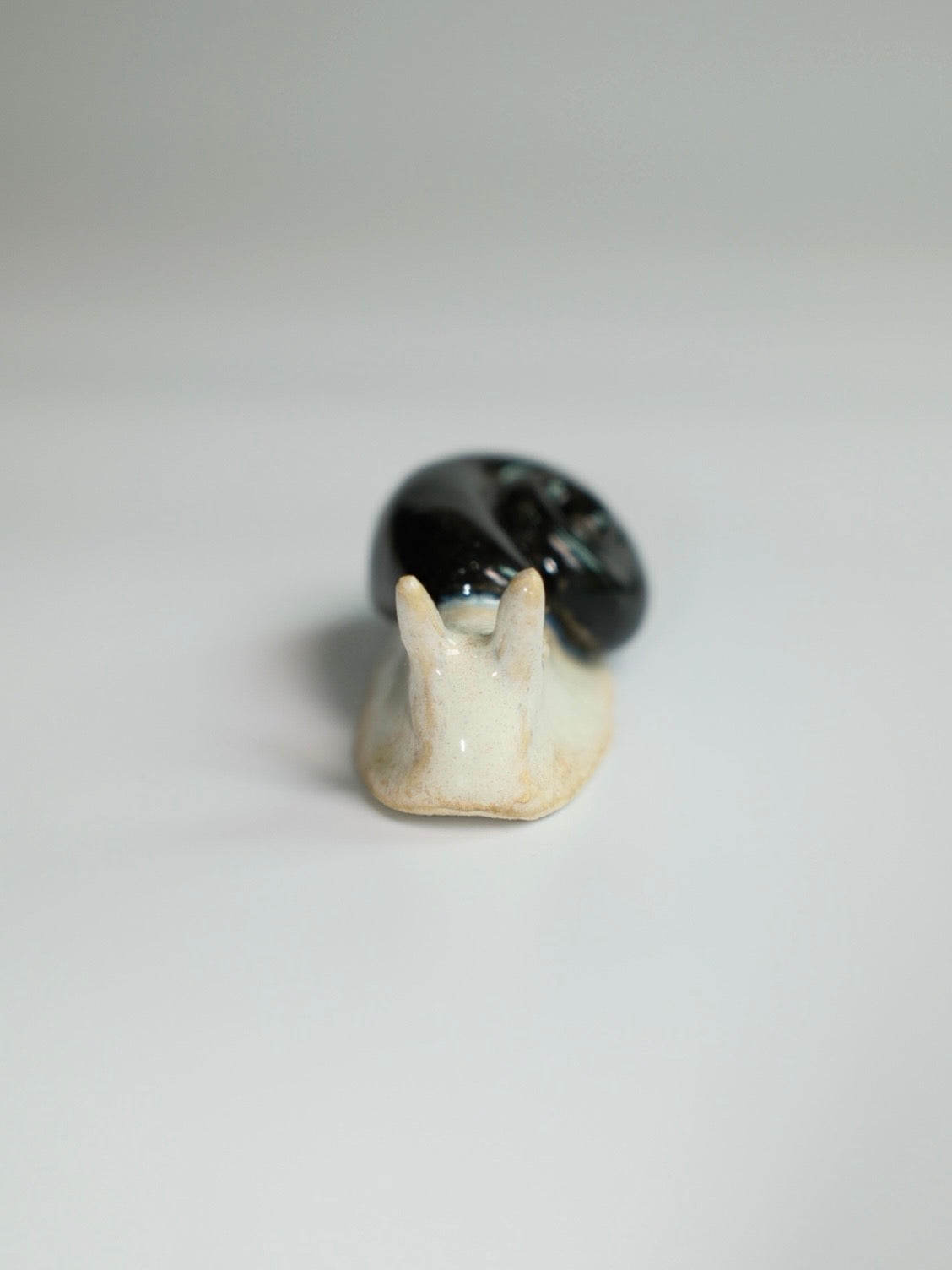 Snail 14