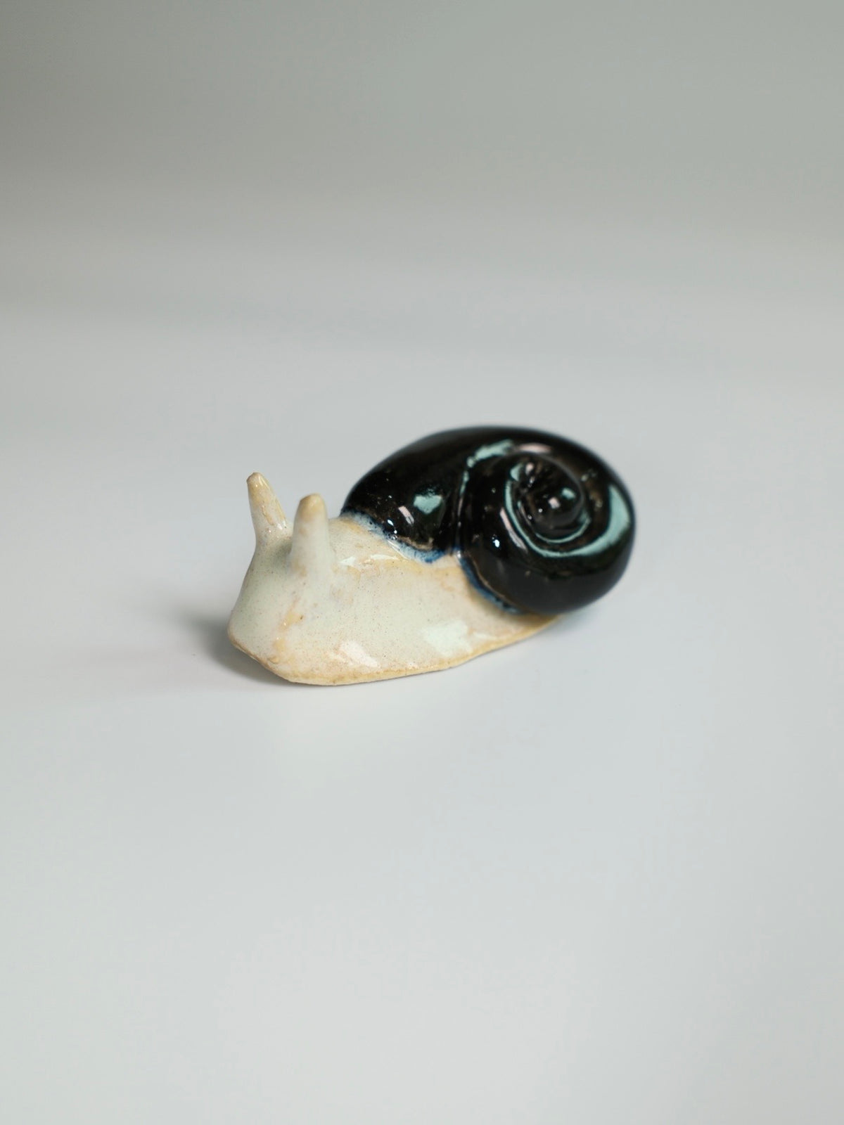 Snail 14