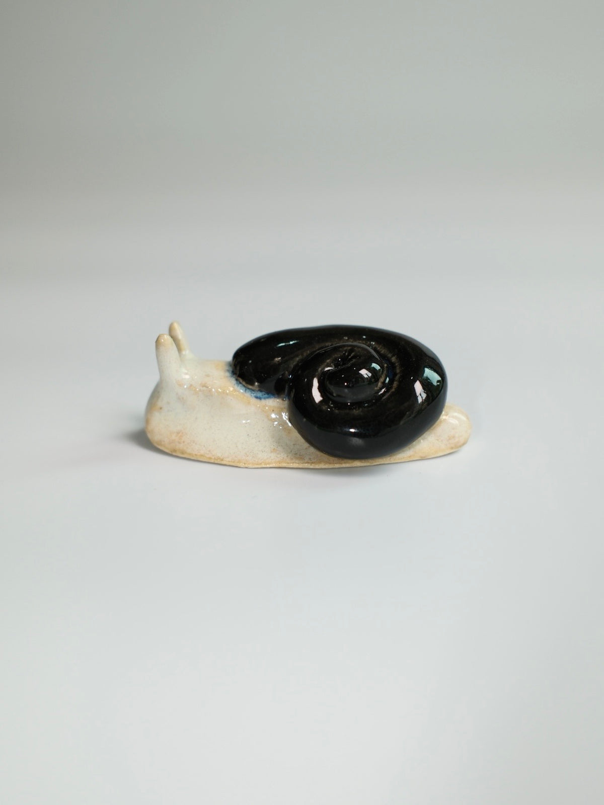 Snail 14