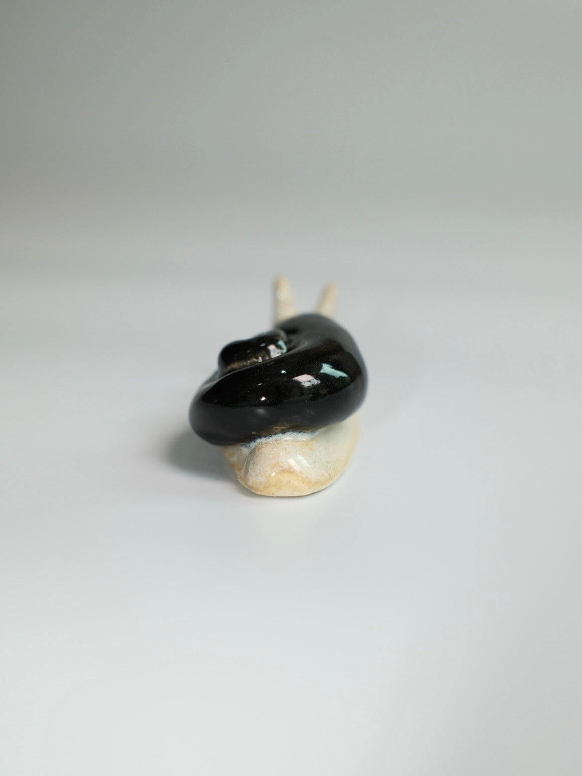 Snail 14