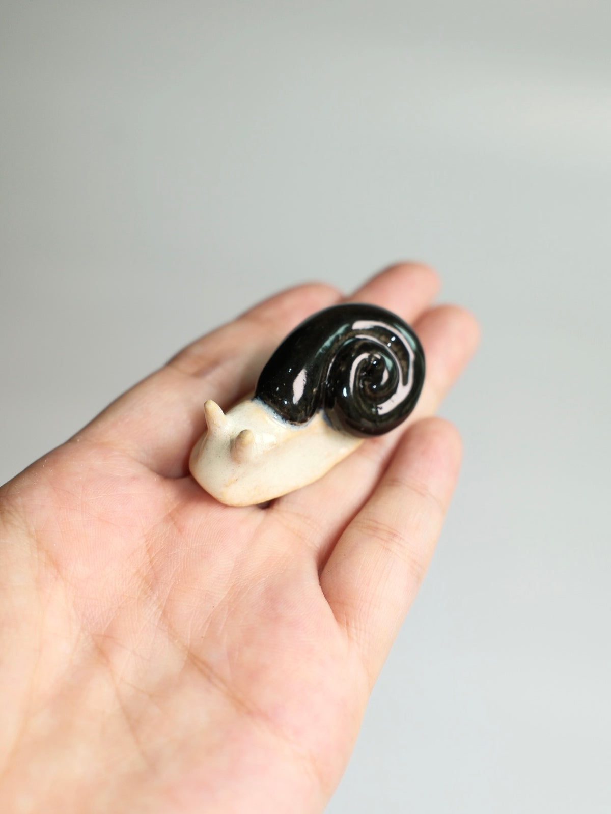 Snail 14