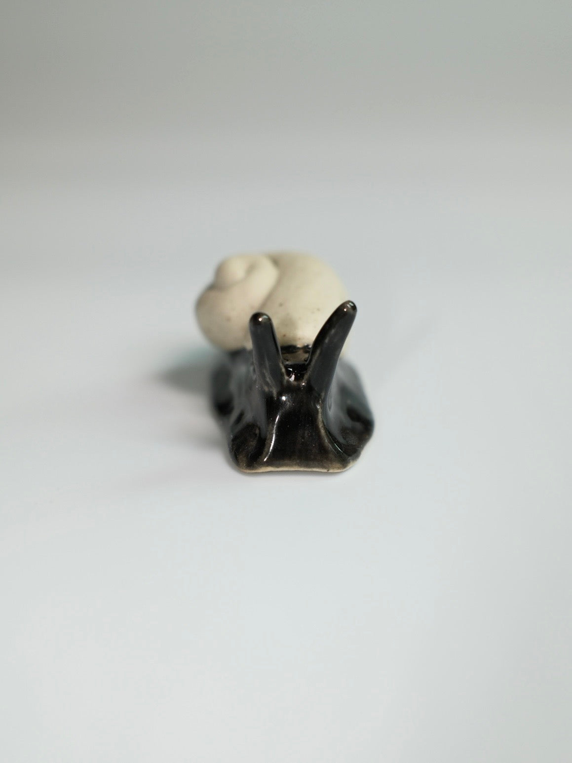 Snail 17