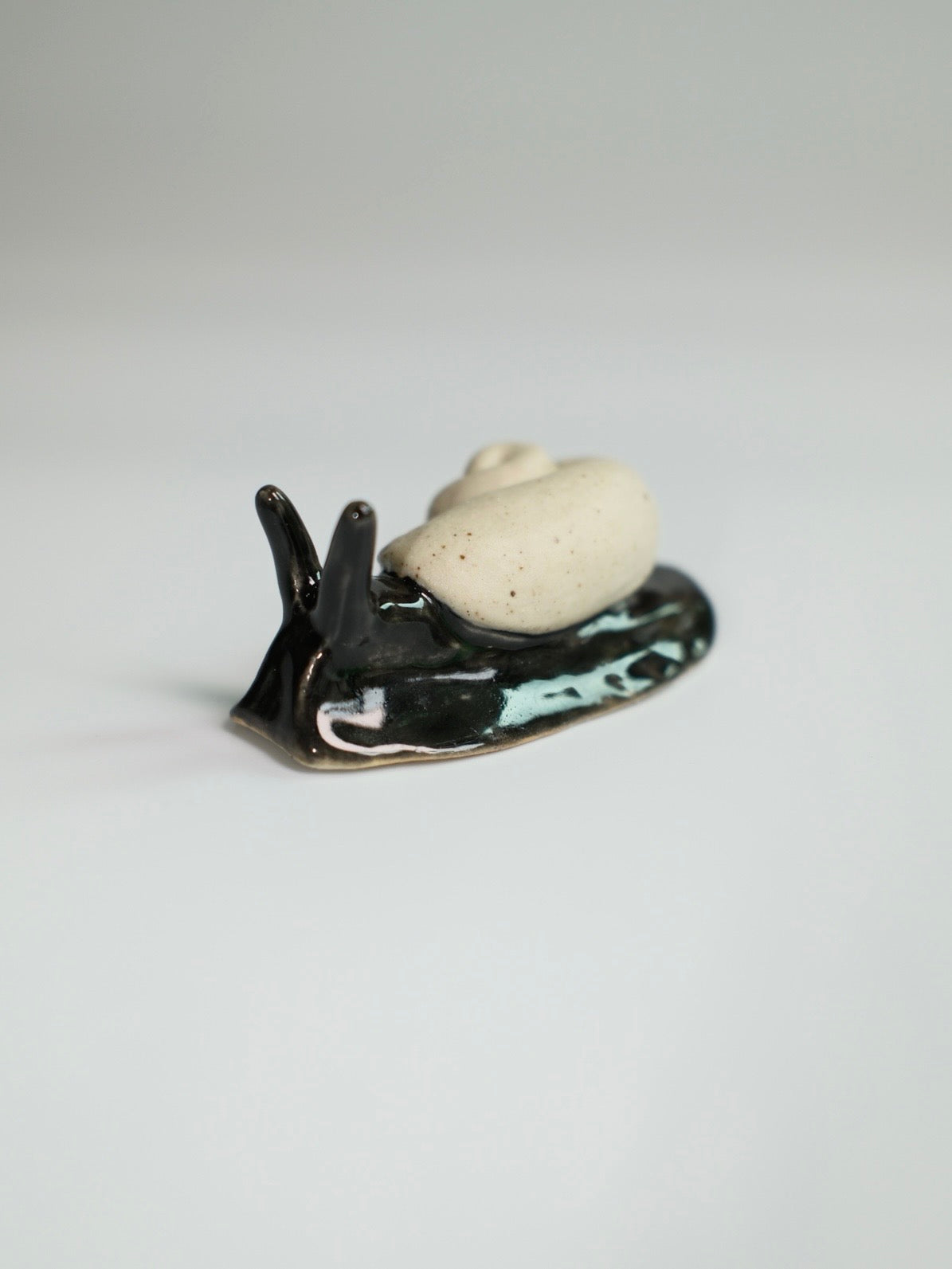 Snail 17