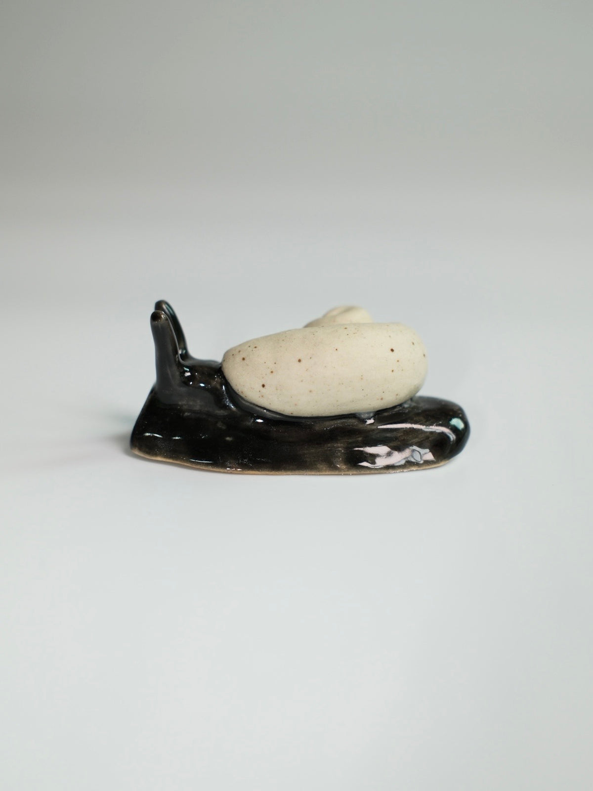 Snail 17