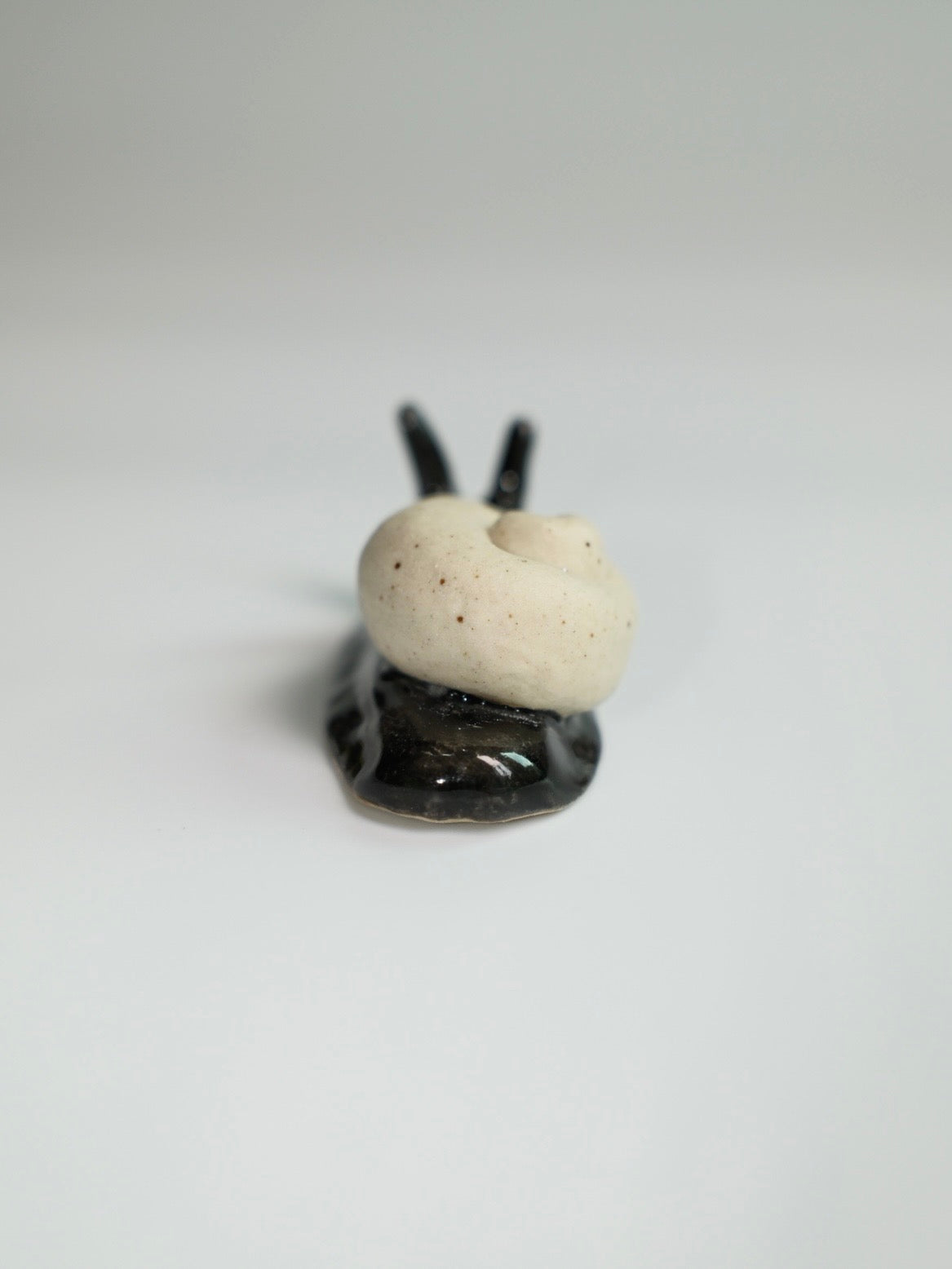 Snail 17