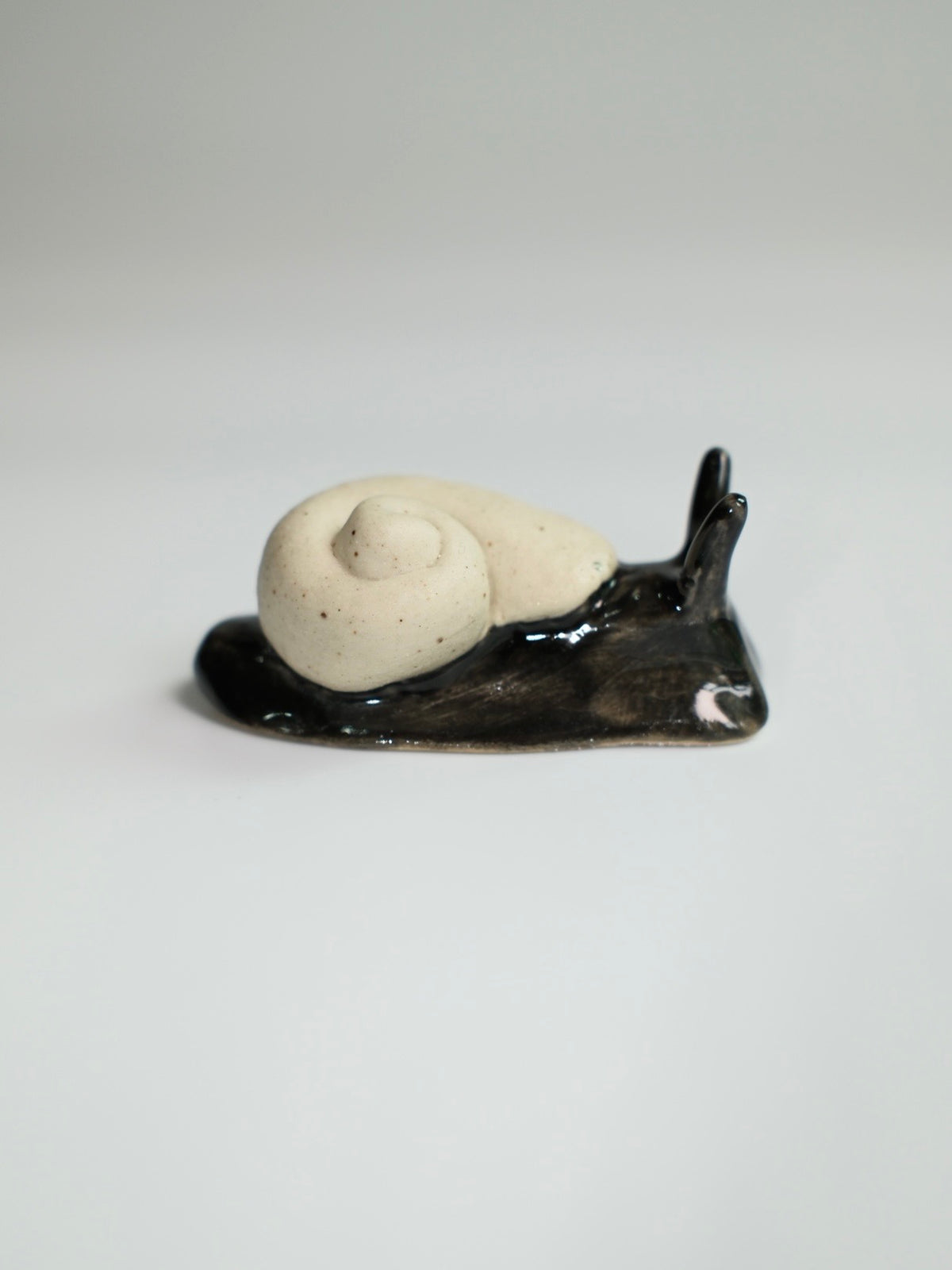 Snail 17