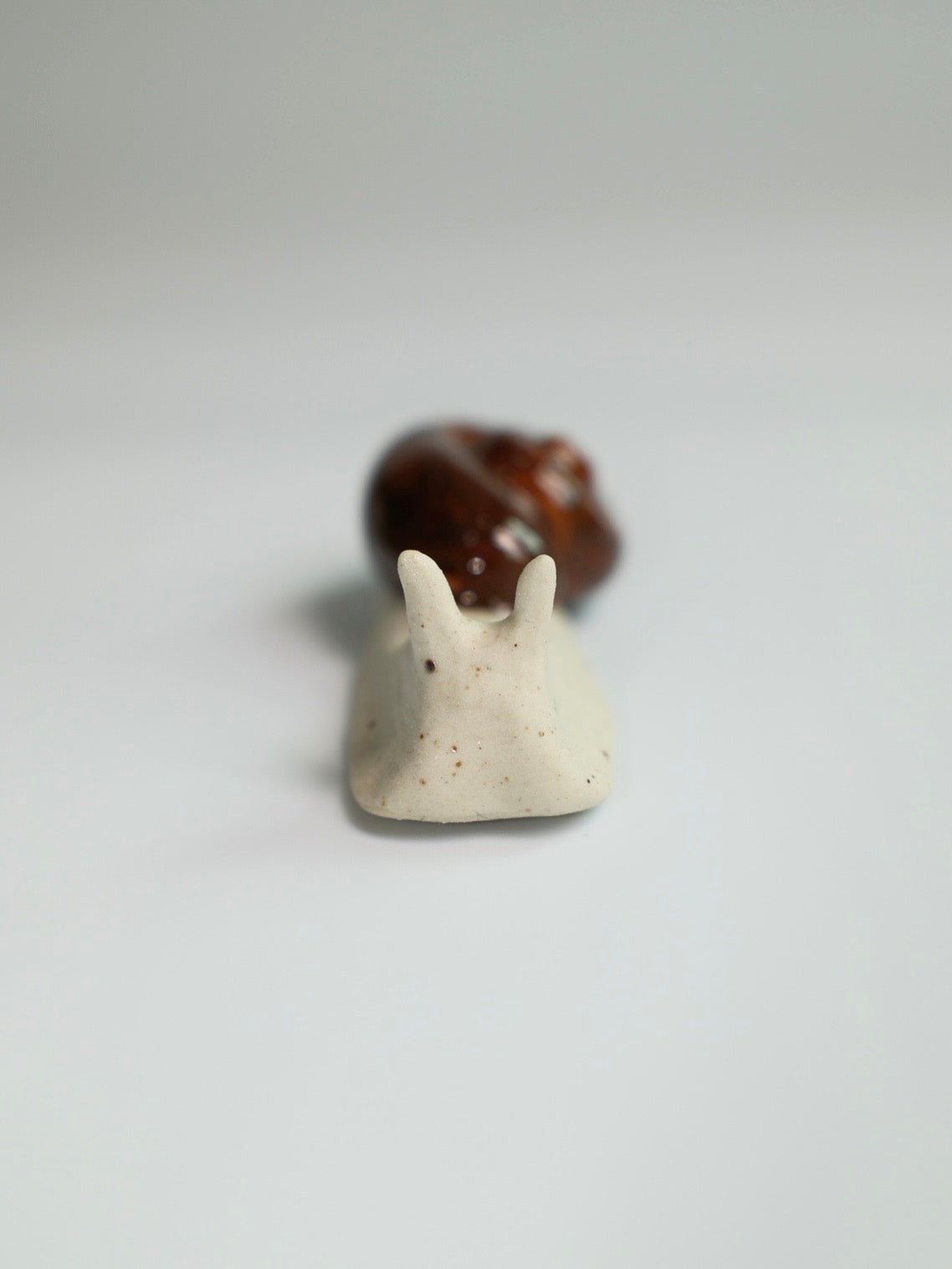 Snail 16