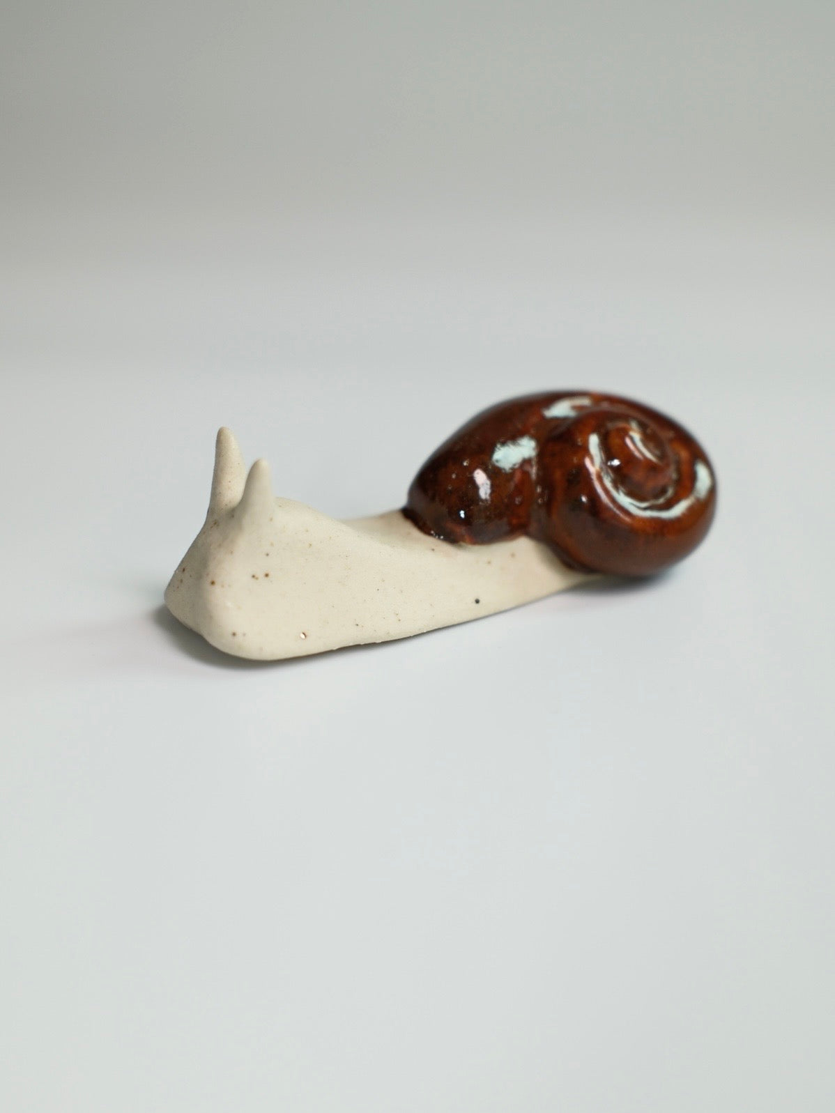 Snail 16