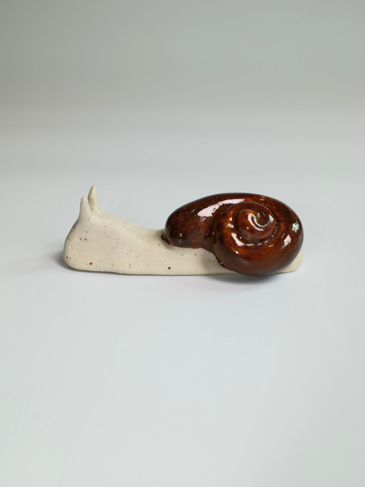 Snail 16