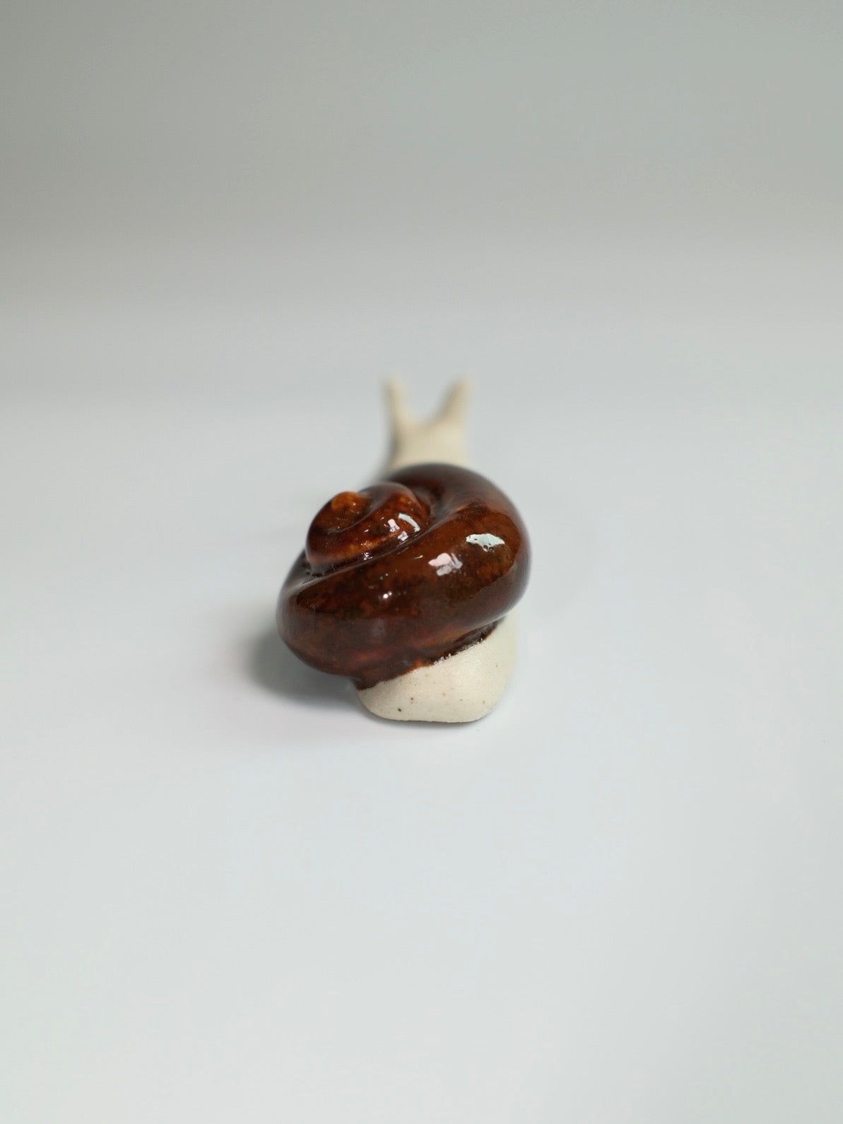Snail 16