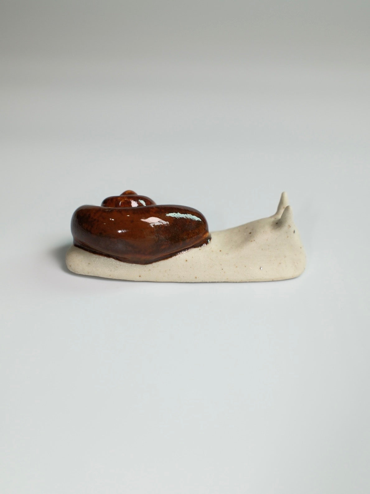 Snail 16