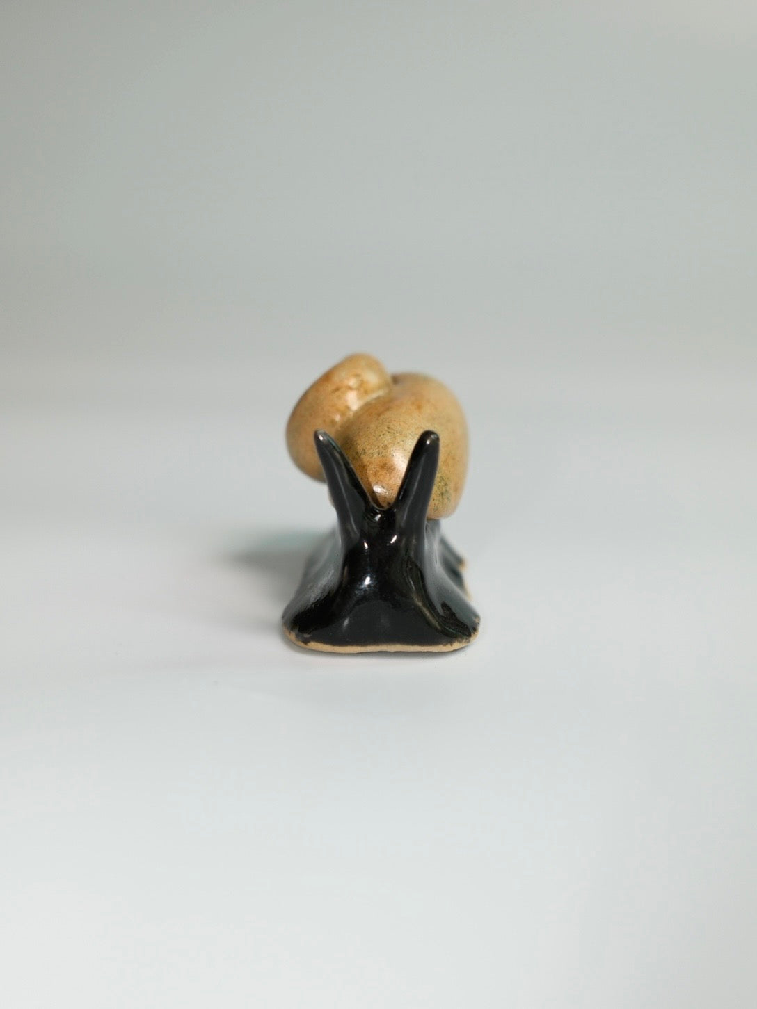 Snail 12