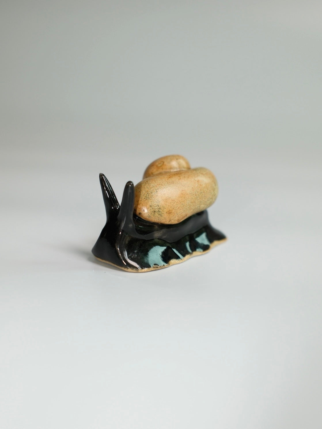 Snail 12