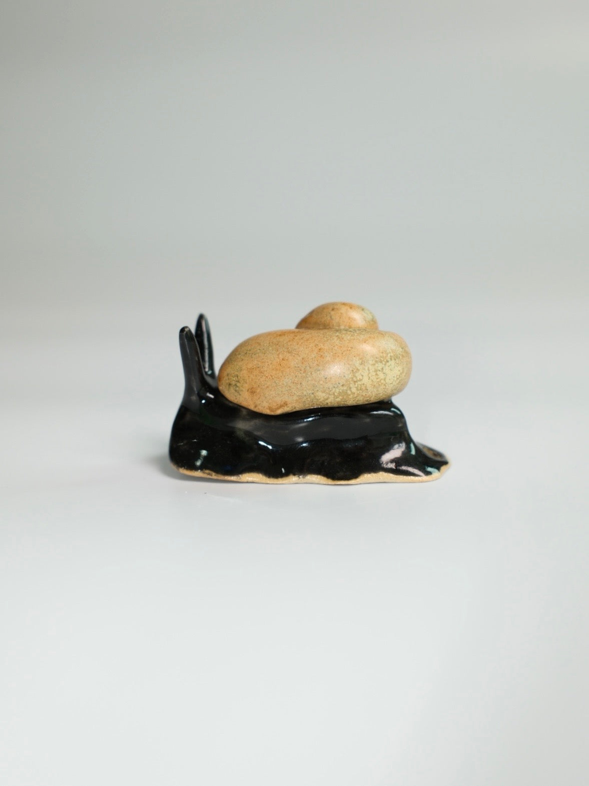 Snail 12