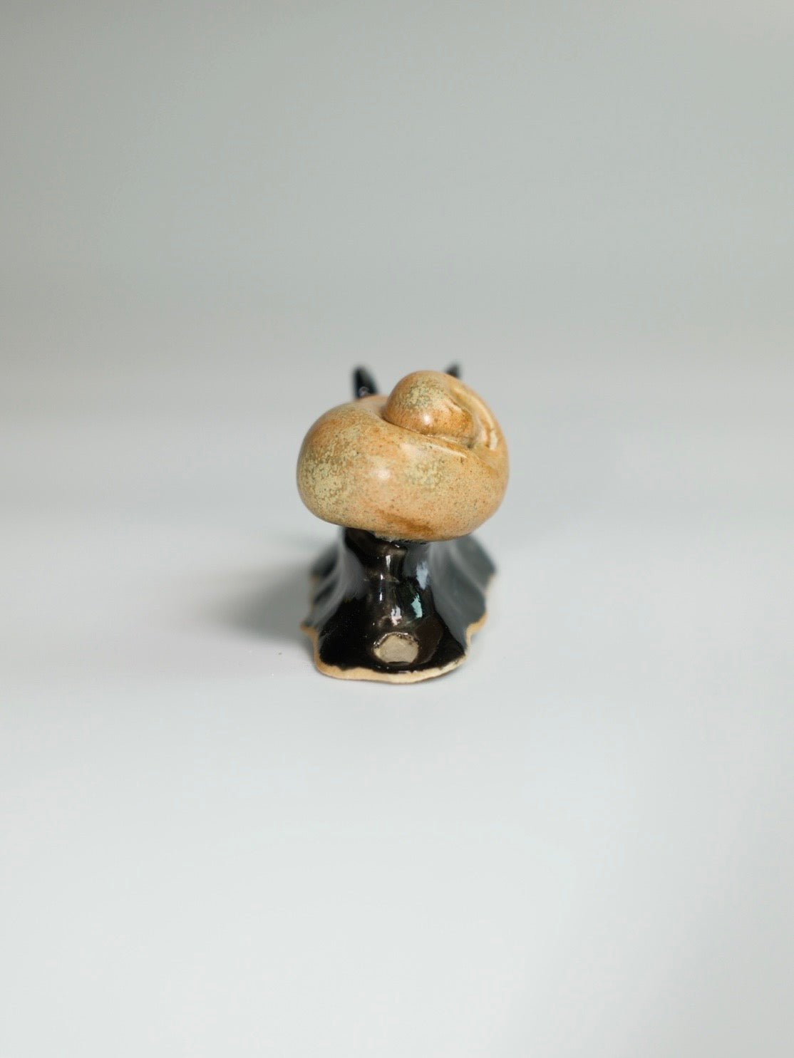 Snail 12