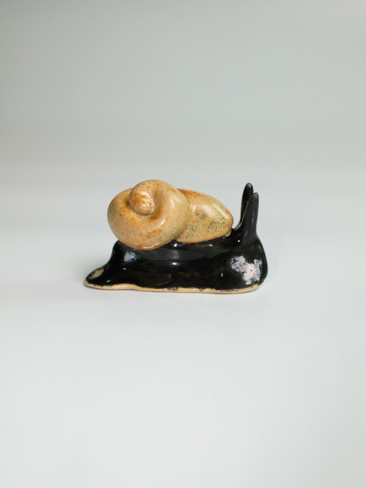 Snail 12