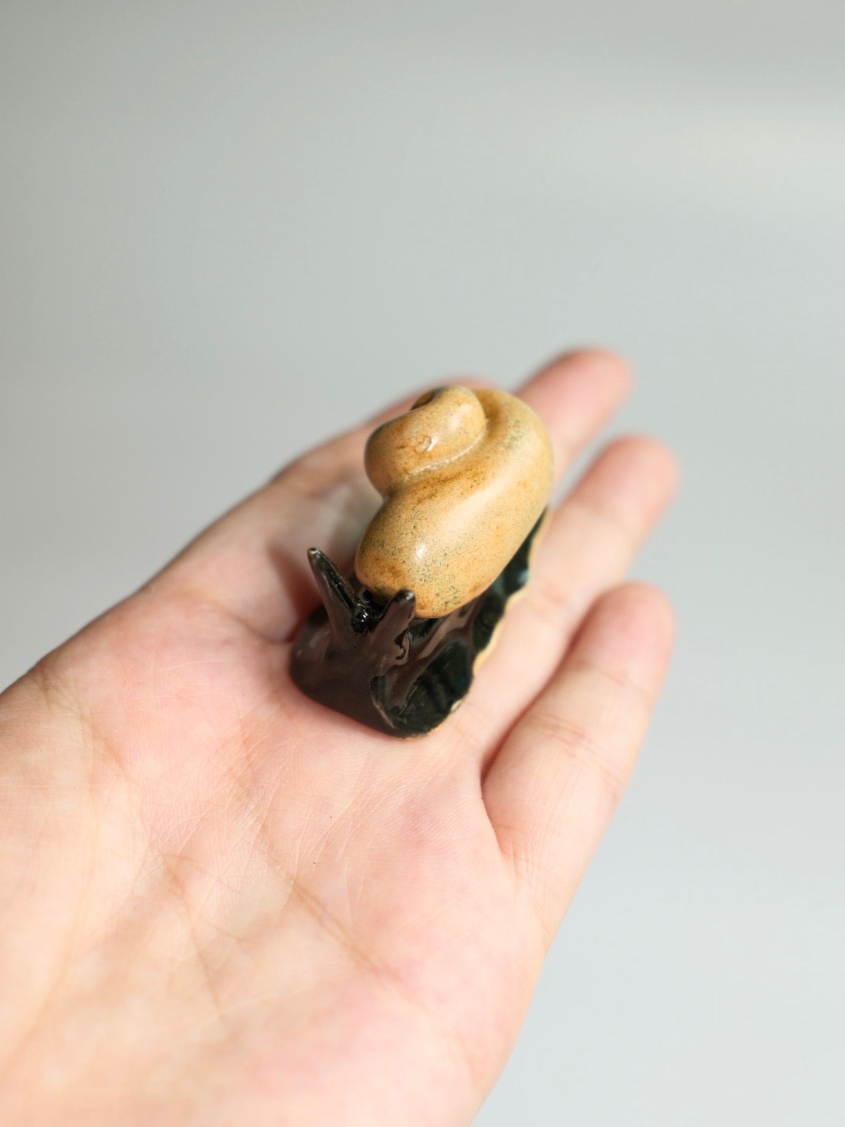 Snail 12