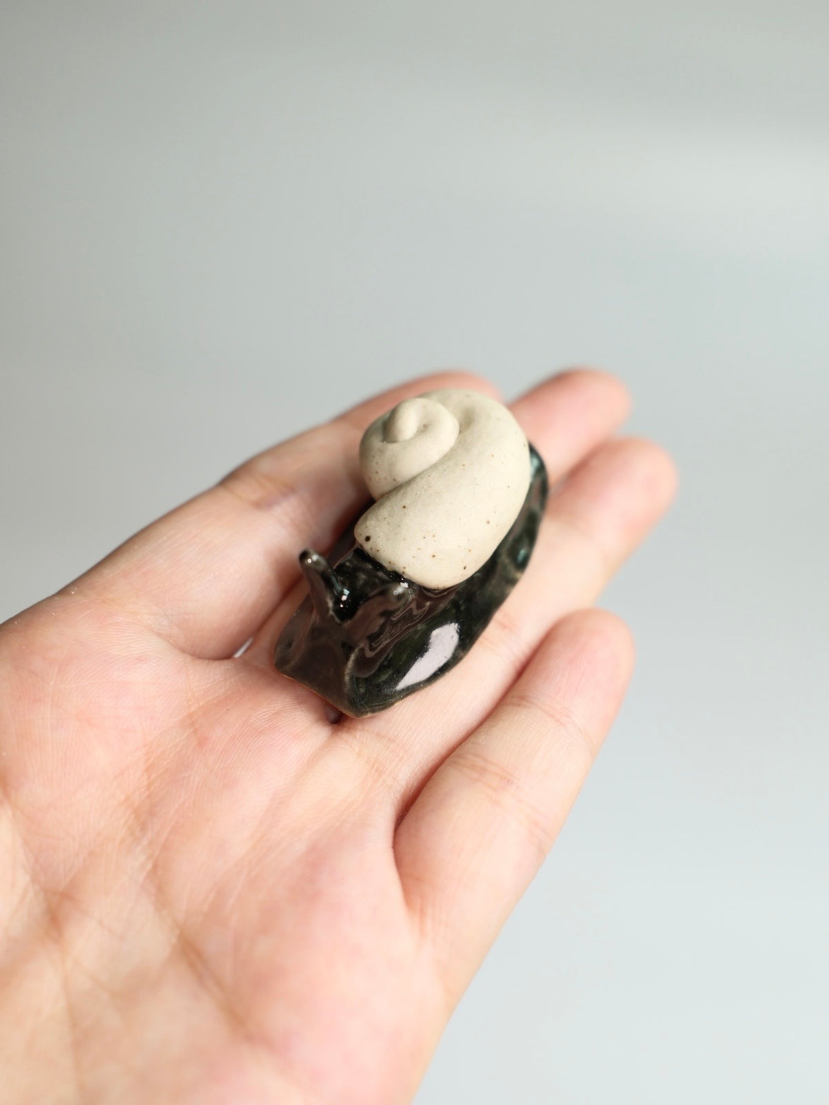 Snail 17
