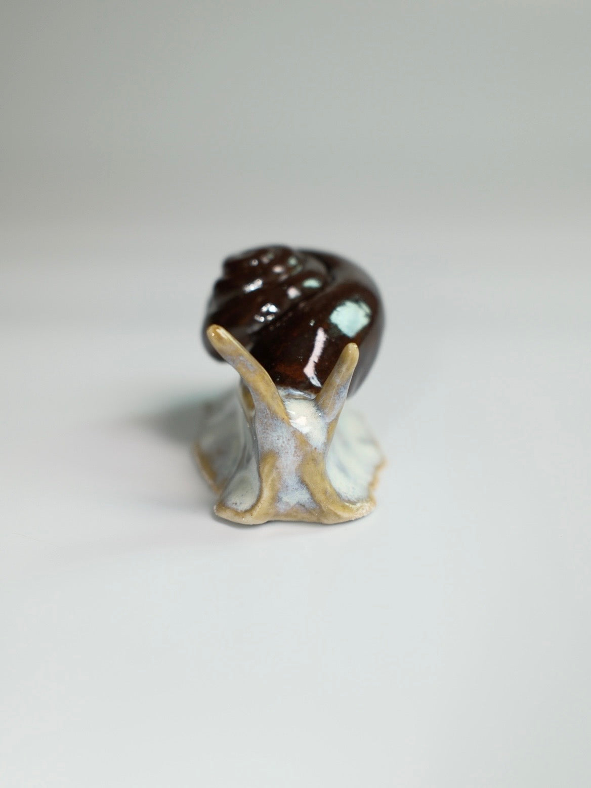 Snail 11