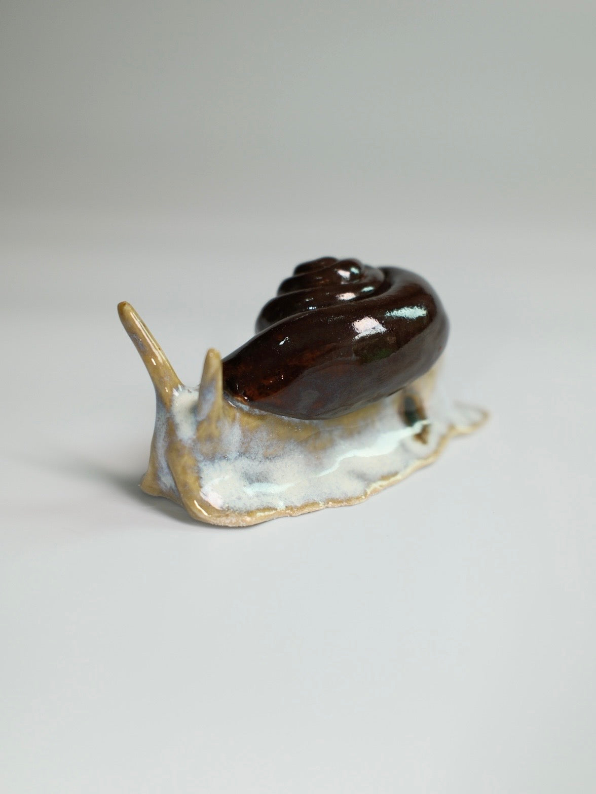 Snail 11
