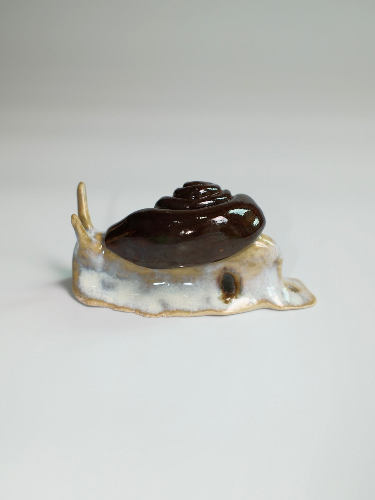 Snail 11