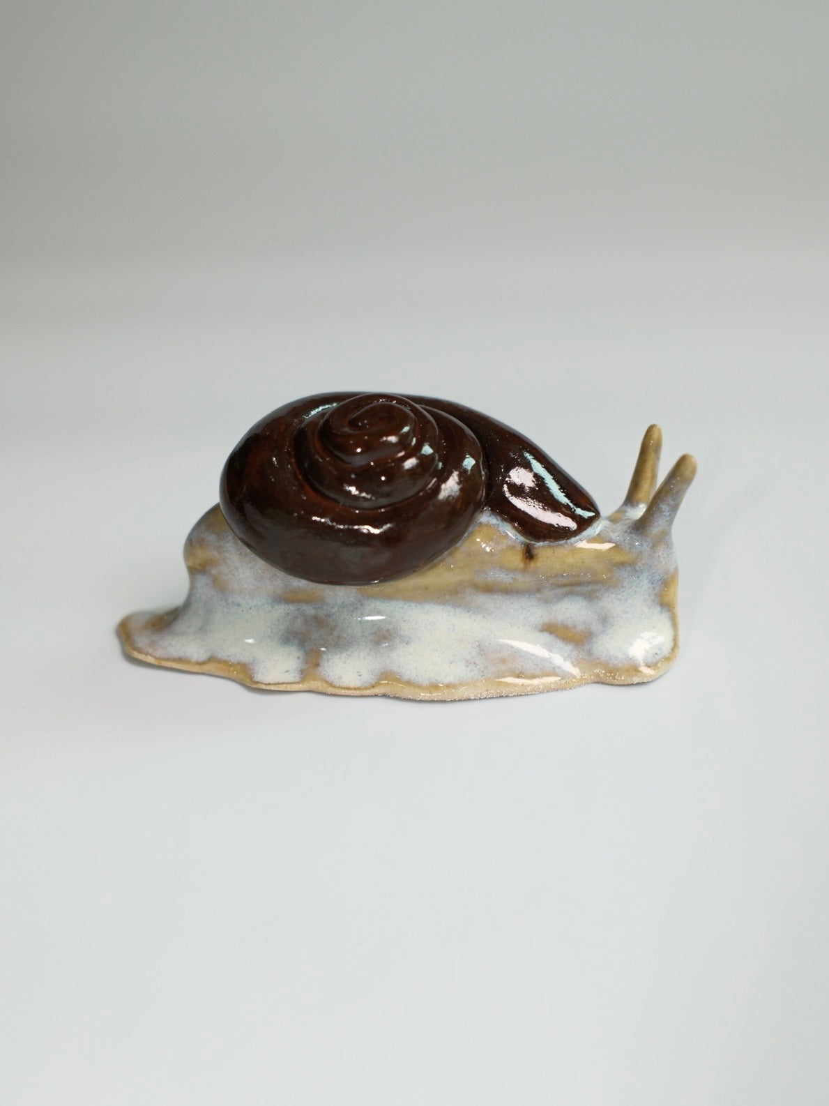Snail 11