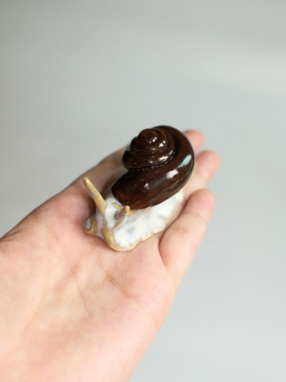 Snail 11